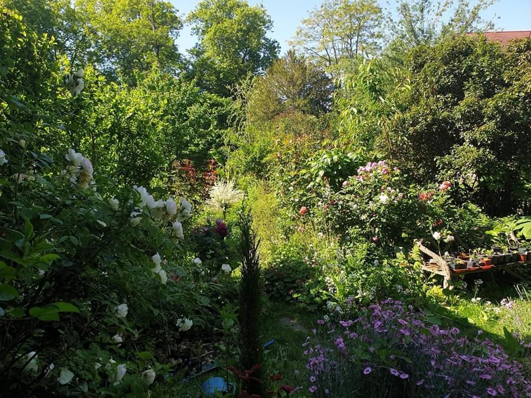 La Petite Maison Du Jardin D'Apollon Dourdan Exterior foto